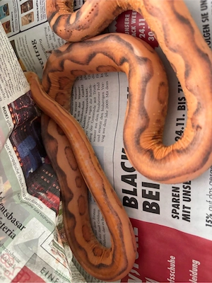 1,0 Micro scaleless 