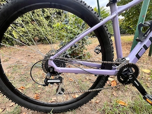 CUBE Access WS EAZ 29" | Größe M | unter 500 km | sehr gepflegt