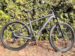 CUBE Acid 29" | Größe L   20" | unter 500 km | sehr gepflegt