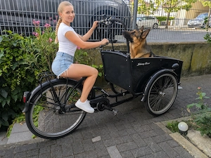 e-Bike, Lastenrad 25km h, Johnny Loco, 3-Rad, Riesentransporter, Hunde- Wochenendeinkauf!