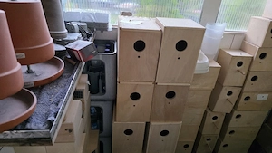 Neue Nistkästen für Wellensittiche 