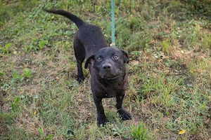 *MOSES* Ich bin lieb, neugierig und verspielt, und ich genieße momentan mein neues Leben 
