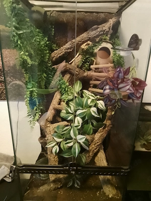 Terrarium von Exo Terra 