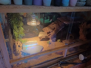 120er terrarium 