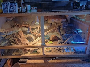 120er terrarium 