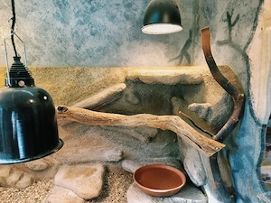 osb terrarium eigenbau