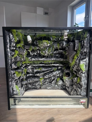 terrarium 
