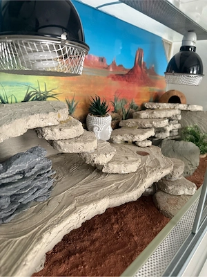 Terrarium für Geckos  schlangen 