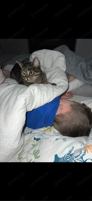 Mimi & Charlie suchen gemeinsam ein neues Zuhause    Bild 2