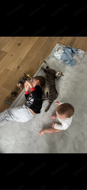Mimi & Charlie suchen gemeinsam ein neues Zuhause    Bild 3