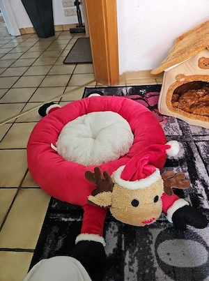 katzenzubehör Bild 3
