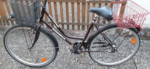 Damen Fahrrad 