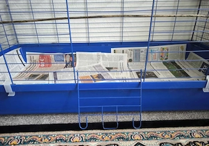 Große Käfig für Kaninchen oder Meerschweinchen Bild 2