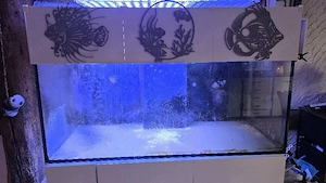 Aqua Medic Armatus 400 Meerwasseraquarium