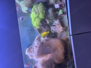 Aqua Emotions Exlusiv Aquarium