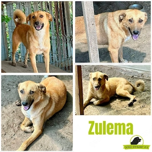 die hübsche Zulema ist sehr sozial