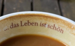 Freizeit-Partnerin gesucht  .