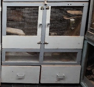 Nager Käfig Chinchilla Ratten Degu