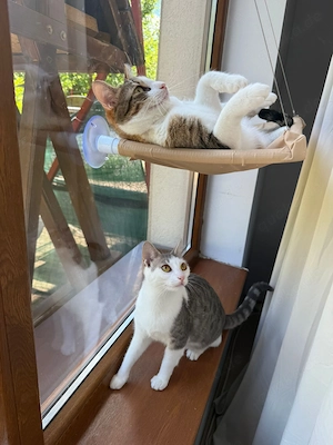 Wendy & Jenny Traumpärchen sucht Traumzuhause