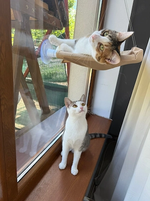 Wendy & Jenny Traumpärchen sucht Traumzuhause