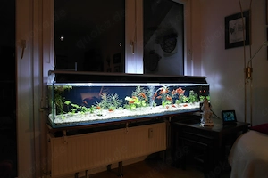 Wunderschönes Aquarium-Panorama .