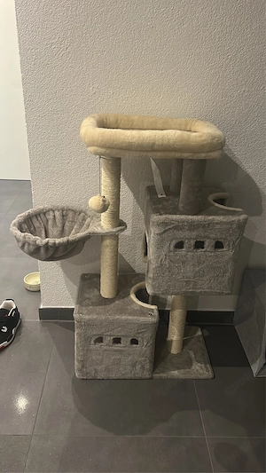 Kleiner Kratzbaum  Bild 3