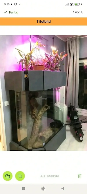 Terrarium zu verkaufen