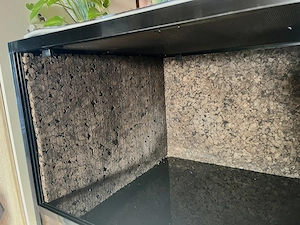 Terrarium für Reptilien und Thermostat 