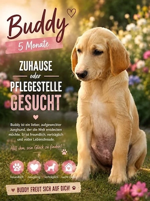 Buddy wartet auf deinen Besuch! 