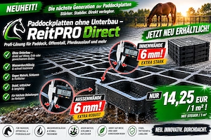 Paddockplatten & Rasengitter kaufen, ideale Paddockgitter ReitPRO Direct 40