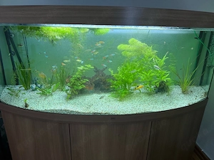 450 liter Auwarium 
