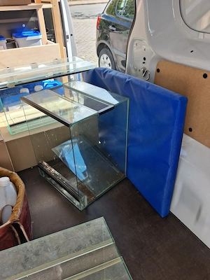 5 x Glasterrarien gebraucht , ungeputzt