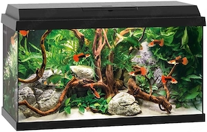 Suche Aquarium mit Abdeckung, günstig für Wasserschildkröte in Not 