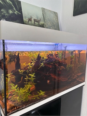 Aquarium 125l Mit Außenfilter und Unterschrank