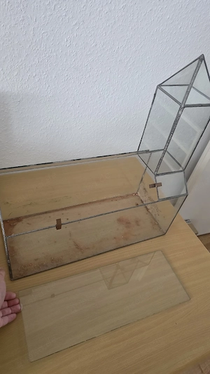 glas terrarium Gewächshaus 