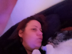 Französische Bully mix Hundin Bild 5