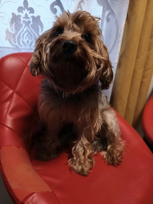 Mädchen,Yrki-Pu 2 Jahre alt.