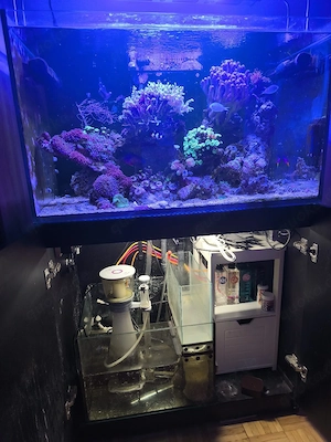 Meerwasseraquarium komplett 