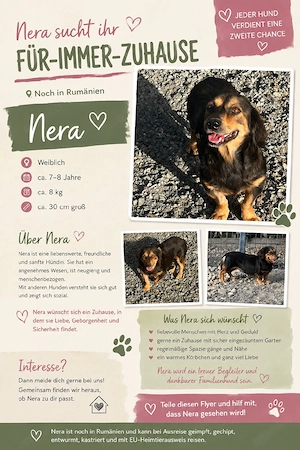 Nera sucht ihr warmes Körbchen