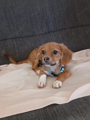 Hallo, ich bin die kleine KIKA