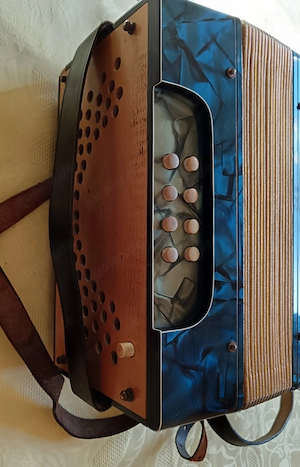  Vintage Royal Standard Akkordeon Stradella 21 8 Bild 5