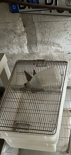 Nagerkäfige 2 stück 