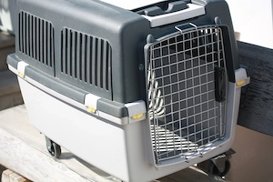 Hunde Transport Boxen Bild 3