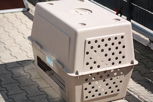 Hunde Transport Boxen Bild 2