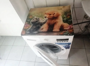 ok waschmaschienen in wetzlar zu verkaufen 