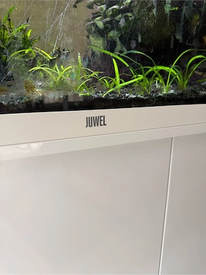 Aquarium mit Schrank 
