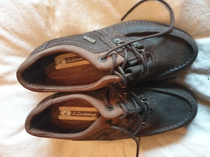 Damenschuhe; LLambertazzi; Sneaker & Sportschuhe; Gr. 39
