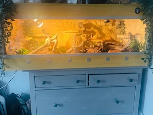 terrarium 120x60x60 dringend!