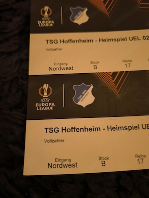 Hoffenheim gegen Lyon Tickets 