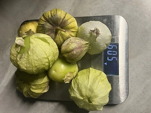 Frische Tomatillos 500g + 2 Jalapeno Chilis für Salsa verde oder zur Samengewinnung